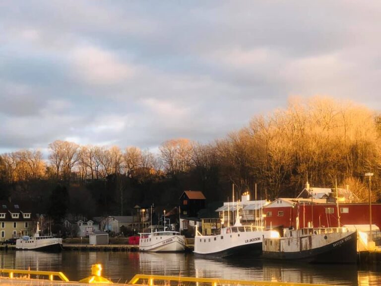 Legends of Lake Erie Boat Tour Pontoon Boat Cruise Experiences in
